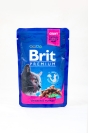 Корм консервований для котів з куркою та індичкою Brit Premium 100 г – ІМ «Обжора»