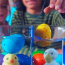 Іграшка-сюрприз Sbabam Eggy Animals Пташки – ІМ «Обжора»
