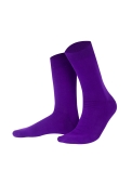 Шкарпетки чол. Intelligent Organism 459 р.41-46 2818 темно фіолетовий – ІМ «Обжора»