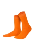 Шкарпетки чол. Intelligent Organism 459 р.41-46 1630 помаранчевий – ІМ «Обжора»