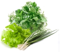 Зелень Вітамінний набір 70г (цибуля / петрушка / кріп / салат) – ІМ «Обжора»
