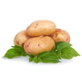 Картошка молодая Тирас, вес. – ИМ «Обжора»