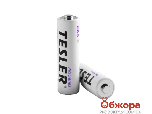 Батарейки Tesler AA ALKALINE LR03 (2 шт в блистере) – ИМ «Обжора»