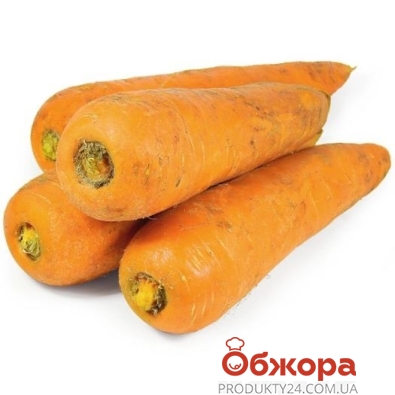 Морковь Каротель мытая – ИМ «Обжора»