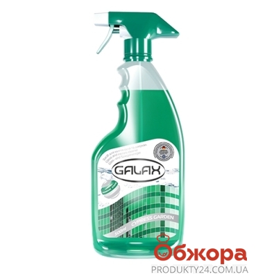 Средство GALAX 500мл для мытья стекол и зеркал Кипарисовий сад – ИМ «Обжора»