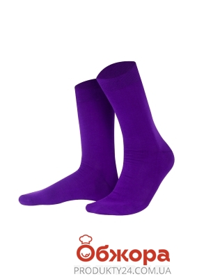 Шкарпетки чол. Intelligent Organism 459 р.41-46 2818 темно фіолетовий – ІМ «Обжора»