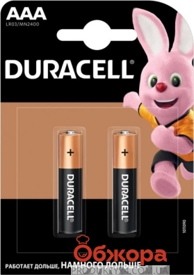 Батарейка Duracell Basic AAA алкаліновi 1.5V LR03 2шт – ІМ «Обжора»