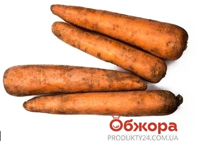Морковь – ИМ «Обжора»