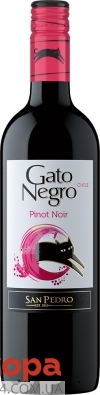 Вино Гато Негро Піно Нуар 0,75л чер. сух. Чилі – ІМ «Обжора»