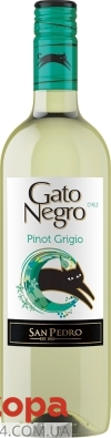 Вино Гато Негро (Gato Negro) Пино Гриджио белое сухое 0,75 л – ИМ «Обжора»