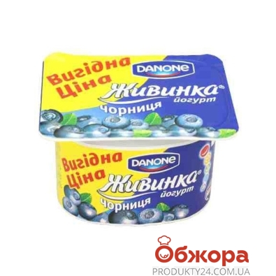 Йогурт Живинка черника 115 г – ИМ «Обжора»