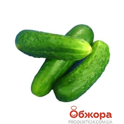 Огірки колючi (Украина) – ІМ «Обжора»