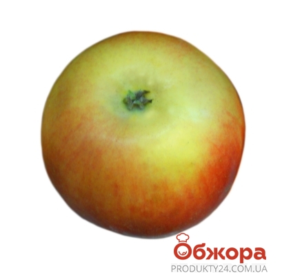 Яблоки Моди вес – ИМ «Обжора»