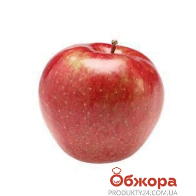 Яблука Флорина – ІМ «Обжора»