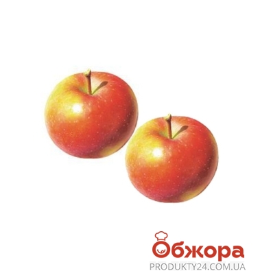 Яблука Гала – ІМ «Обжора»