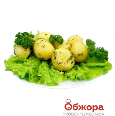 Картопля молода з зеленню – ІМ «Обжора»