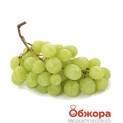 Виноград белый Украина вес – ИМ «Обжора»