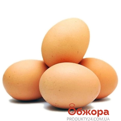 Куриное яйцо Баштанское С1 – ІМ «Обжора»