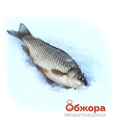 Риба Карась на льоду ваг.* – ІМ «Обжора»