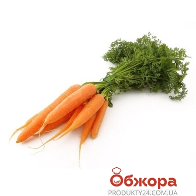 Морковь молодая пучок фас. – ІМ «Обжора»