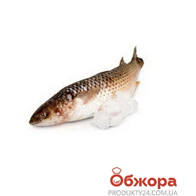 Риба Пеленгас на льоду ваг.* – ІМ «Обжора»