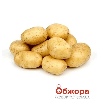 Картопля Єгипет ваг – ІМ «Обжора»