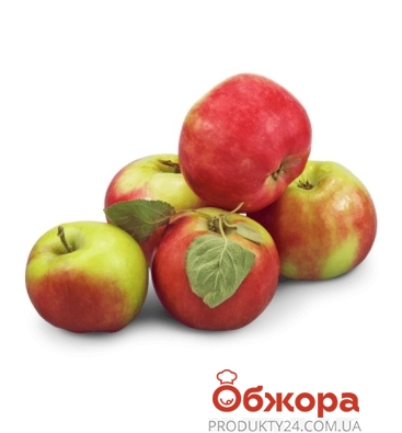 Яблоки Украина вес – ИМ «Обжора»
