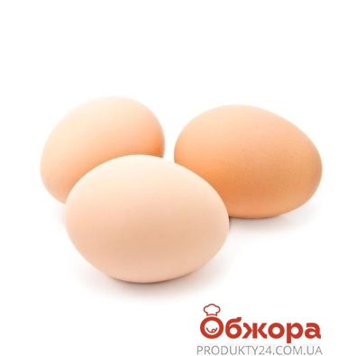 Куриное яйцо С1 Томчаковский – ІМ «Обжора»