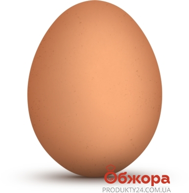 Куряче яйце фермерське штучне C1 – ІМ «Обжора»