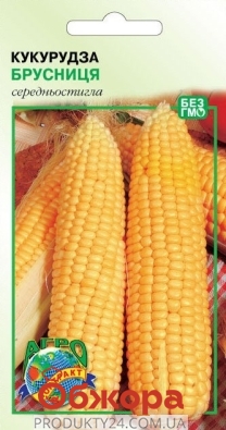Насіння Кукуруза Брусника 20г – ІМ «Обжора»