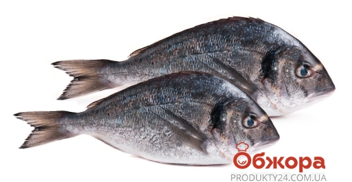 Риба Дорадо 200-300 на льоду вага* – ІМ «Обжора»