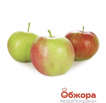 Яблоки, сорт "Слава Победителю", вес. – ИМ «Обжора»