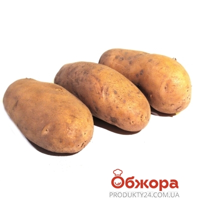 Картопля Гранада ваг. – ІМ «Обжора»