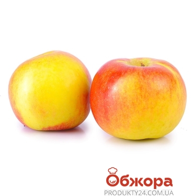Яблука Ліголь  вага – ІМ «Обжора»