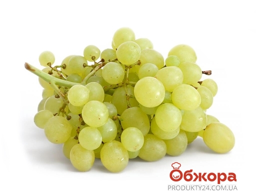 Виноград белый элит – ІМ «Обжора»