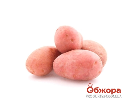 Картопля рожева – ІМ «Обжора»