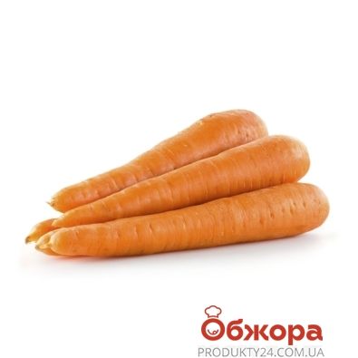 Морква – ІМ «Обжора»