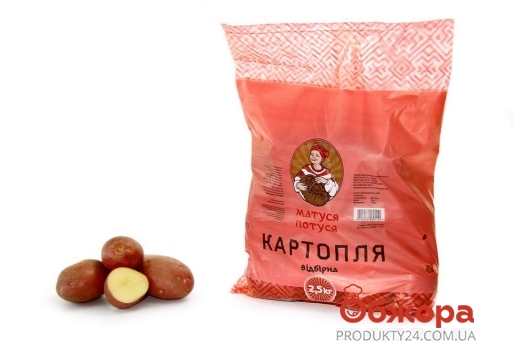 Картофель Матуся Потуся 2.5 кг – ИМ «Обжора»