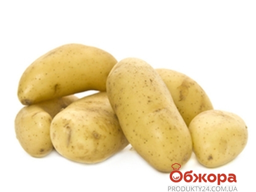 Картопля молода (Імпорт) шт – ІМ «Обжора»
